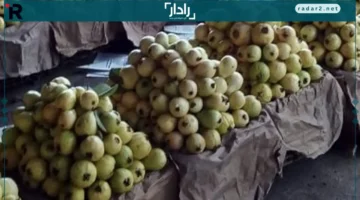 سعر الجوافة اليوم الأربعاء 22-10-2025 في منافذ التموين